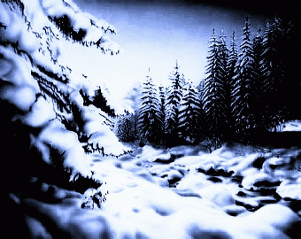 Mutiläted (FRA-2) : Baptized in the Black Forest